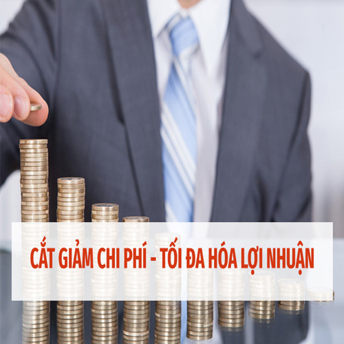 3 l&yacute; do bạn n&ecirc;n sở hữu một chiếc m&aacute;y tời điện 